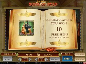  book of dead slot review
